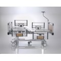 Hospital Bed Bariatric Aslan Medical